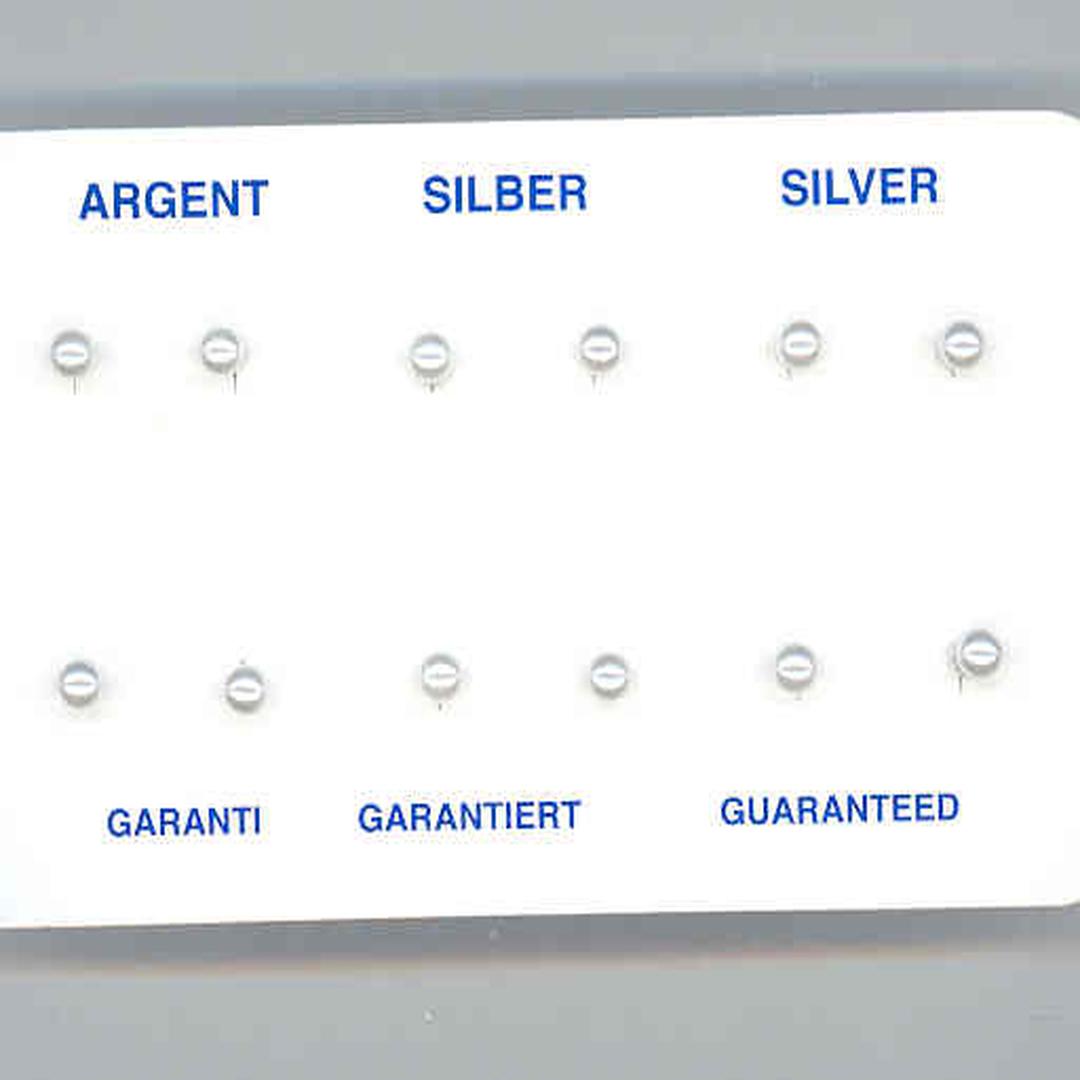 Silvex | E1300161 | ORECCHINI in argento 925