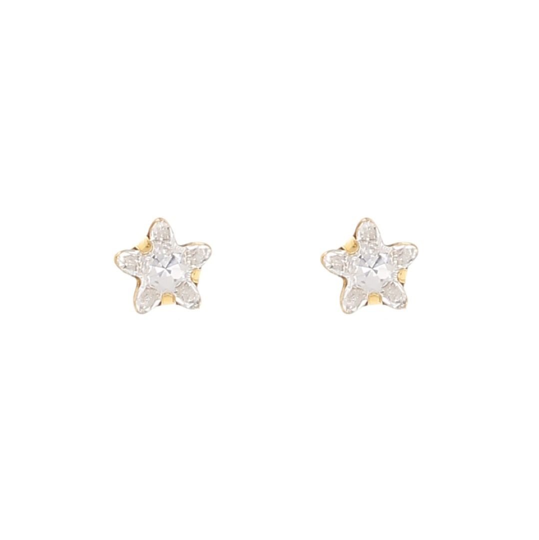 Silvex | E1900170 | EARRINGS FLOWER STAR