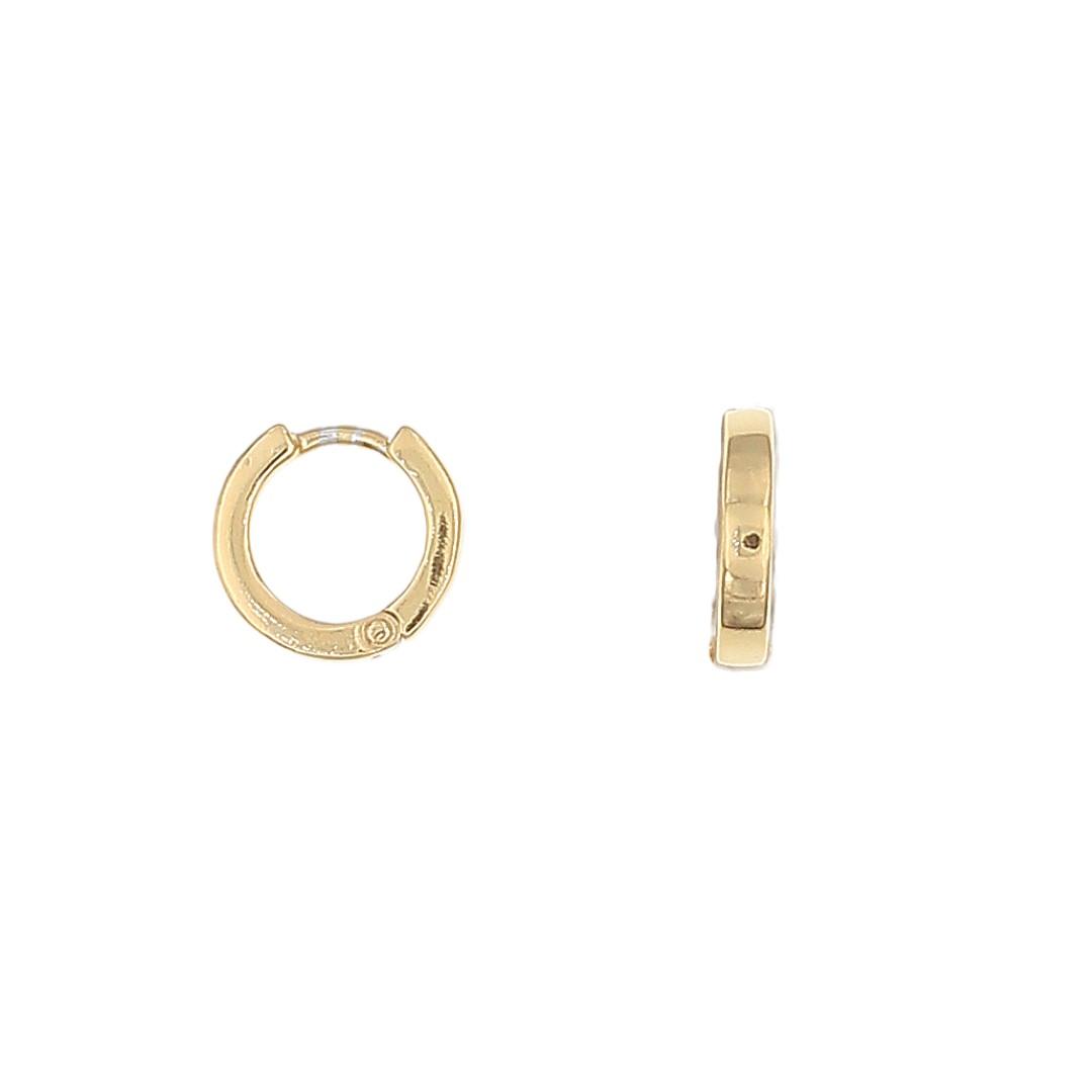 Silvex | E2200001 | ORECCHINI SCATTINO