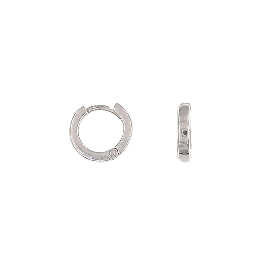 Silvex | E2200001 | ORECCHINI SCATTINO