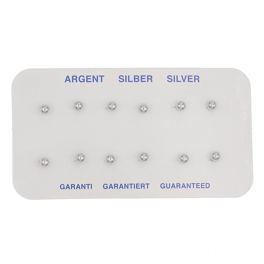 Silvex | E2201903 | EARRINGS in silver 925