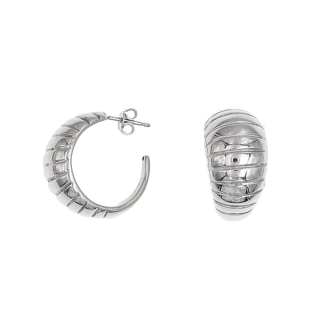Silvex | E2302844 | ORECCHINI