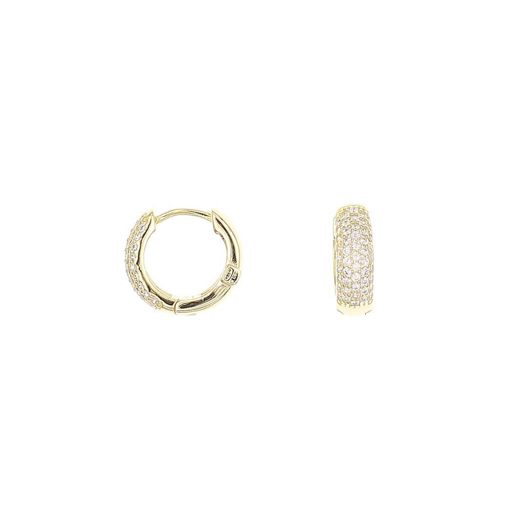 Silvex | E2501211 | EARRINGS