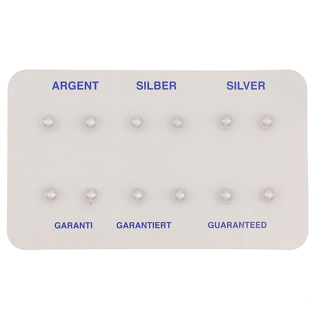 Silvex | E2600171 | ORECCHINI