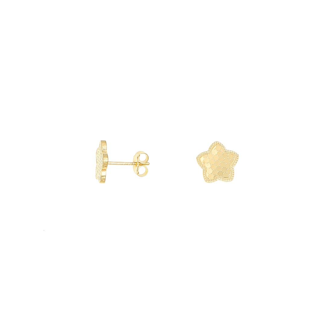 Silvex | E2600210 | ORECCHINI STELLA