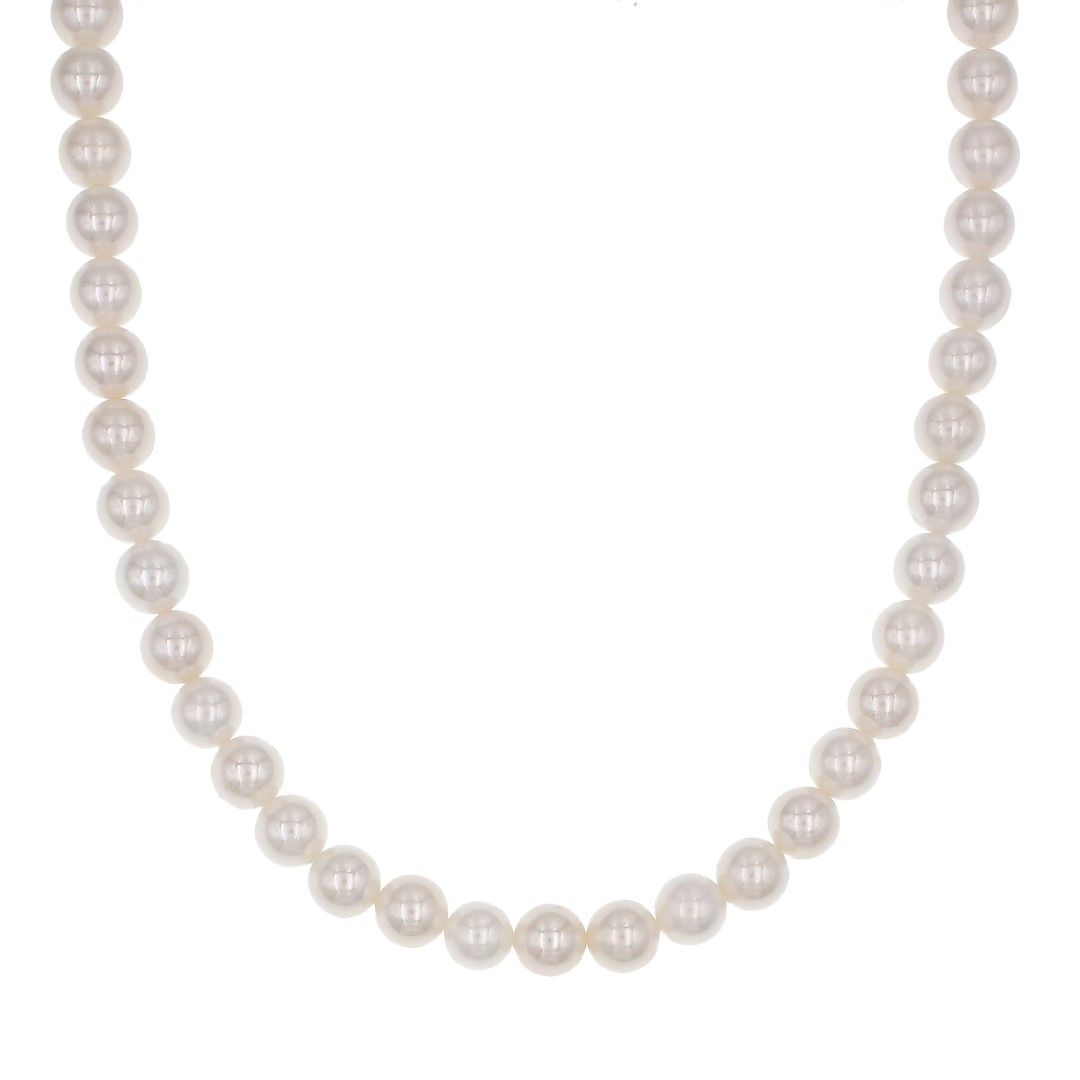 Silvex | N2300711 | COLLANE IMPORT