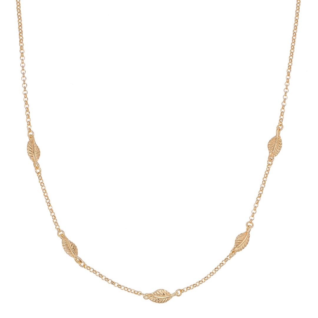 Silvex | N2301437 | COLLANE