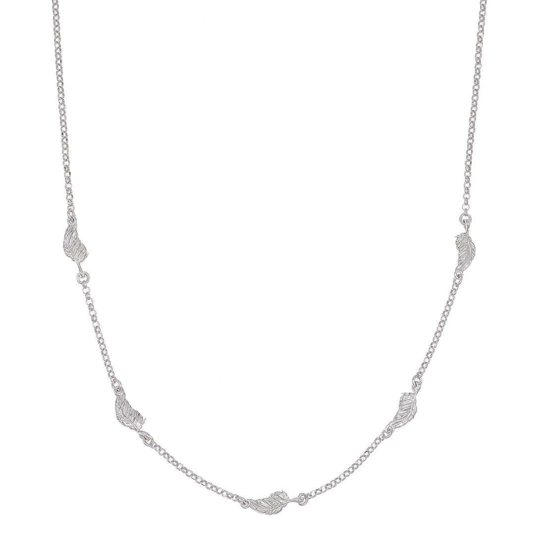 Silvex | N2301437 | COLLANE