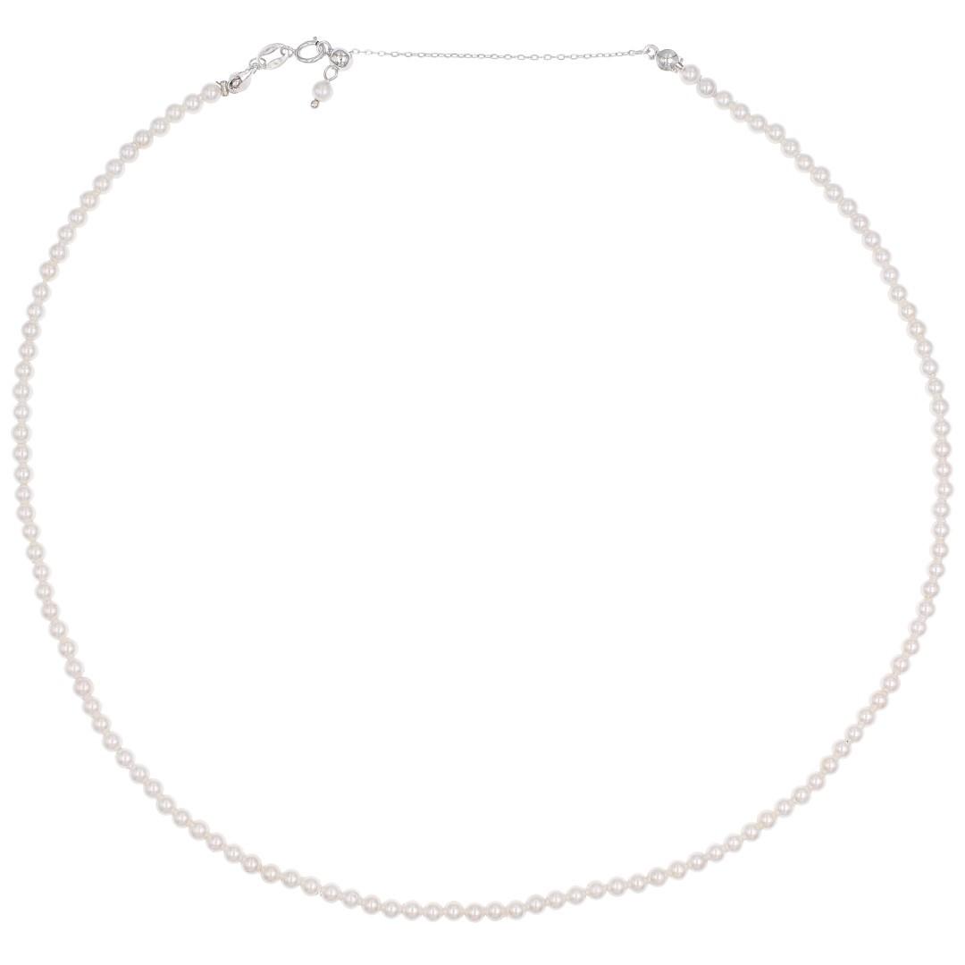 Silvex | N2600453 | COLLANE